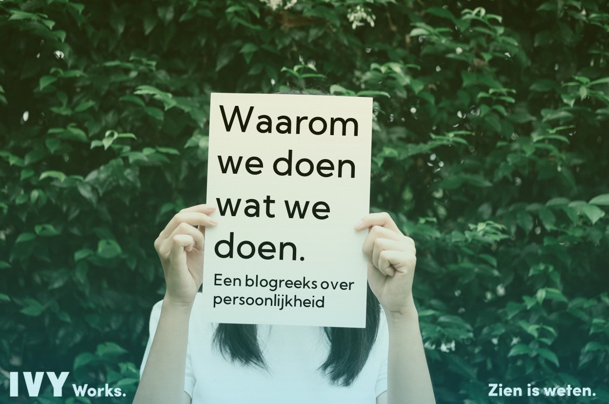 Waarom we doen wat we doen. – IVY Works